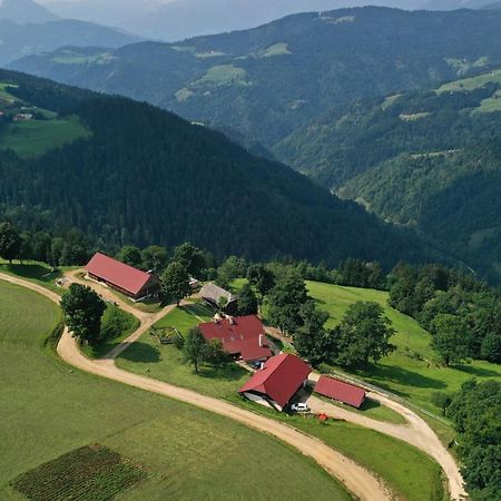 Farmstay&Glamping Visocnik Ljubno Exterior photo