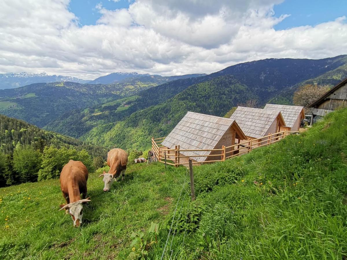 Farmstay&Glamping Visocnik Ljubno Exterior photo