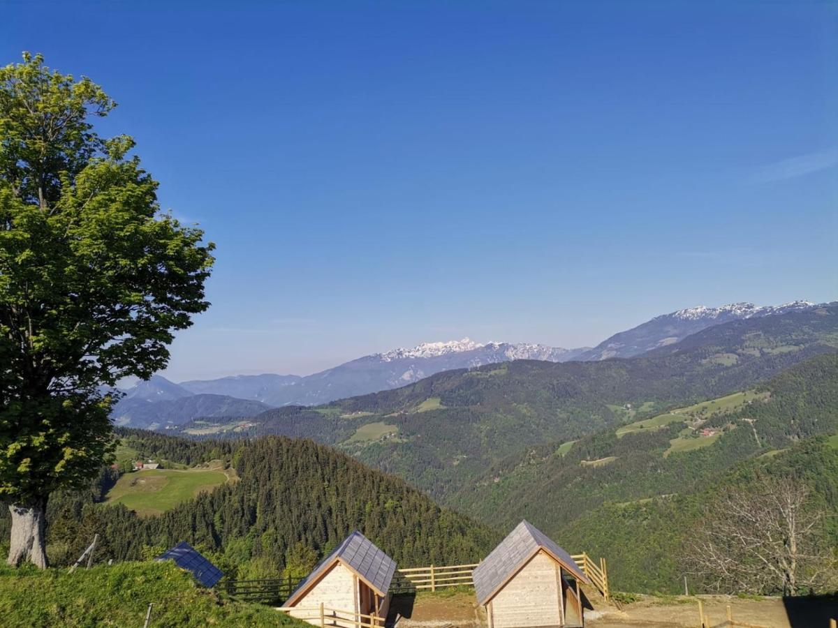 Farmstay&Glamping Visocnik Ljubno Exterior photo
