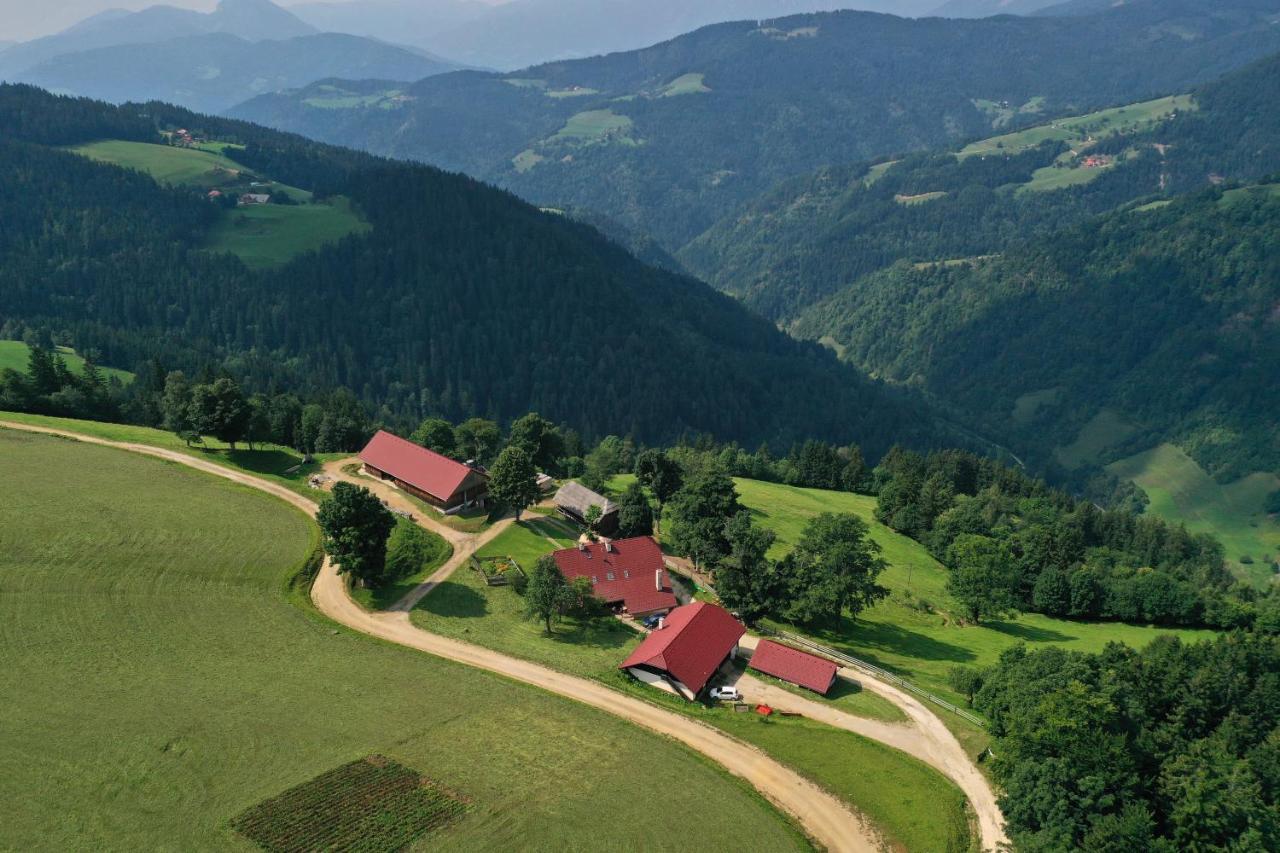 Farmstay&Glamping Visocnik Ljubno Exterior photo