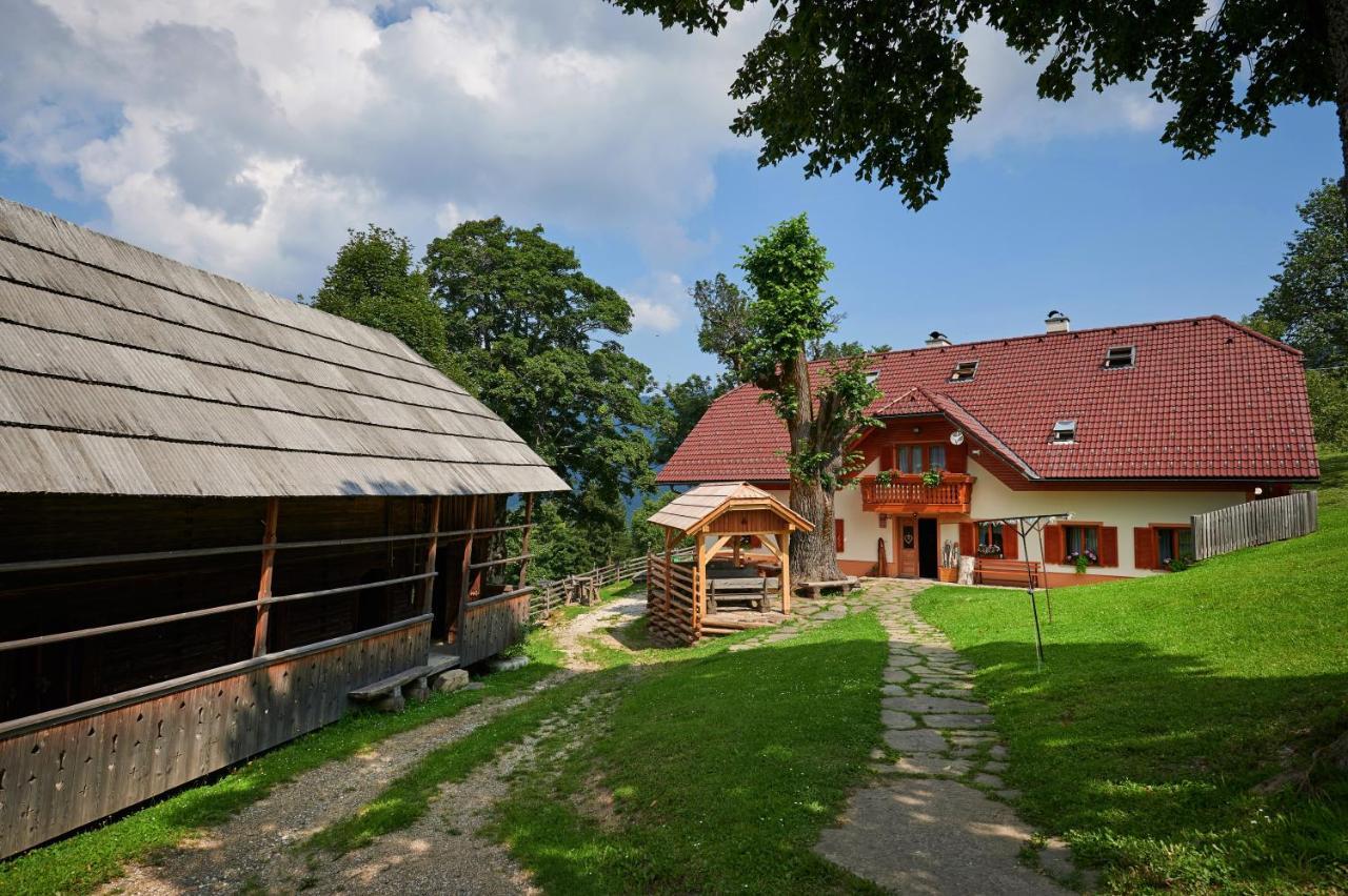 Farmstay&Glamping Visocnik Ljubno Exterior photo